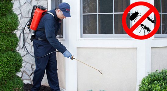 Emet Dezenfeksiyon böcek ilaçlama ve haşere kontrolü — ilaclama-tr.com